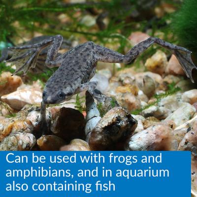 Show full view: API Turtle Water Conditioner, 8-oz bottle slide 6 of 8