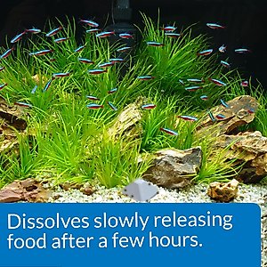 API Vacation Pyramid Fish Food Feeder, 14 days