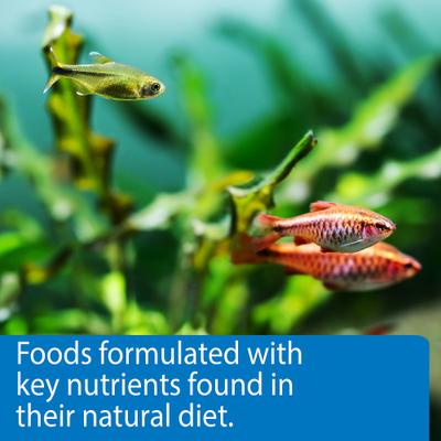 Show full view: API Vacation Pyramid Fish Food Feeder, 14 days slide 6 of 9