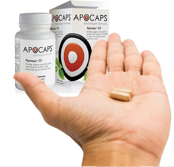 Apocaps CX Apoptogen Formula Dog Supplement