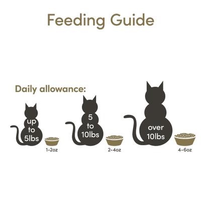 Show full view: Applaws Adult Complete Whitefish Recipe with Country Vegetables Grain-Free Dry Cat Food, 4-lb bag slide 5 of 9