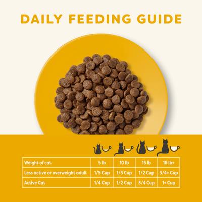 Show full view: Applaws Complete Chicken with Turkey Recipe Grain-Free Dry Cat Food, 4-lb bag slide 5 of 9