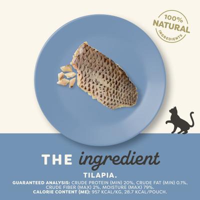 Show full view: Applaws Loin Tilapia Filet Grain-Free Cat Treats, 1.06-oz loin, case of 12 slide 3 of 10