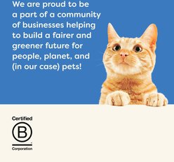 Applaws Tuna Fillet & Salmon Recipe in Gravy Wet Cat Food, 2.12-oz cup, case of 10 slide 2 of 8