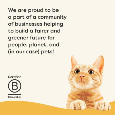 Show full view: Applaws Vitality Chicken Breast In Broth Grain-Free Wet Cat Food, 5.5-oz can, case of 24 slide 7 of 11