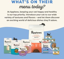 Applaws Vitality Fish Pate Selection Grain-Free Wet Cat Food, 2.47-oz can, case of 12 slide 2 of 8