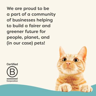 Show full view: Applaws Vitality Tuna Fillet & Mackerel Recipe Pate Grain-Free Wet Cat Food, 2.47-oz can, case of 24 slide 7 of 11