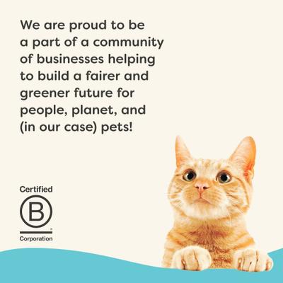 Show full view: Applaws Vitality Tuna Fillet Recipe Pate Grain-Free Wet Cat Food, 5.5-oz can, case of 24 slide 7 of 11