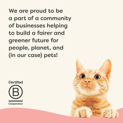 Show full view: Applaws Vitality Tuna Fillet & Salmon In Broth Grain-Free Wet Cat Food, 5.5-oz can, case of 24 slide 7 of 11