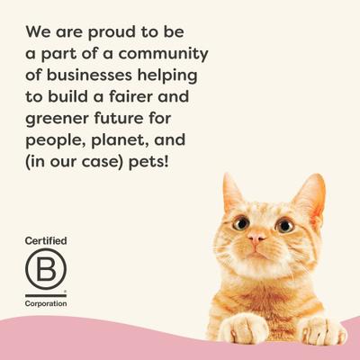 Show full view: Applaws Vitality Tuna Fillet & Shrimp In Broth Grain-Free Wet Cat Food, 2.47-oz can, case of 24 slide 7 of 11