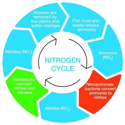 Show full view: Aqua Natural Diamond Black Bio-Substrate Aquarium Gravel, 5-lb bag slide 2 of 3