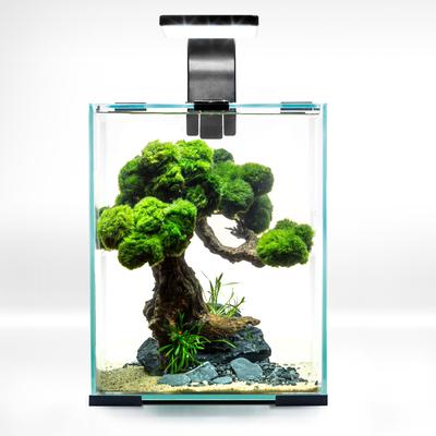 Show full view: Aquael Shrimp 10 Day & Night Set Nano Aquarium, 2 count slide 3 of 3