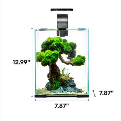 Show full view: Aquael Shrimp 10 Day & Night Set Nano Aquarium, 2 count slide 2 of 3