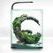 Show in main carousel: Aquael Shrimp 30 Set Nano Aquarium slide 3 of 4