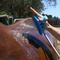 Show in main carousel: Aquapaw Equine Grooming Tool, Blue slide 5 of 10