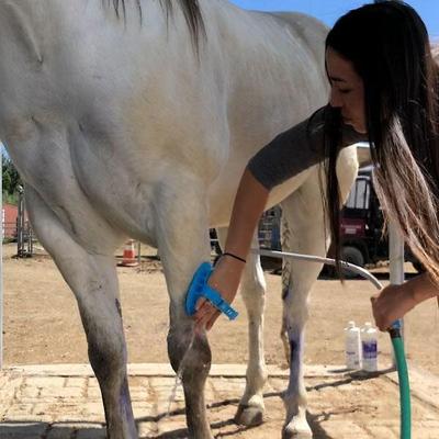Show full view: Aquapaw Equine Grooming Tool, Blue slide 9 of 10