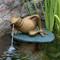 Show in main carousel: Aquascape Lazy Frog on Lily Pad Spitter Fish Aquarium Ornament slide 2 of 4