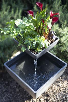 Show full view: AquaSprouts Fountain Aquaponics Ecosystem Kit, Charcoal, 8-gal slide 9 of 11