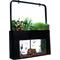 Show in main carousel: AquaSprouts Garden Self-Sustaining Desktop Aquarium Aquaponics Ecosystem, 10-gal slide 1 of 11