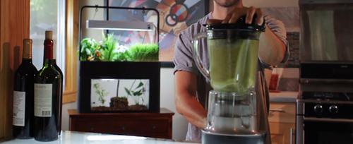 Show full view: AquaSprouts Garden Self-Sustaining Desktop Aquarium Aquaponics Ecosystem, 10-gal slide 5 of 11