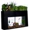 Show in main carousel: AquaSprouts Garden Self-Sustaining Desktop Aquarium Aquaponics Ecosystem, 10-gal slide 8 of 11