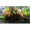 Show in main carousel: AquaSprouts Horticultural LED Grow Light Bar, 2-ft slide 4 of 7