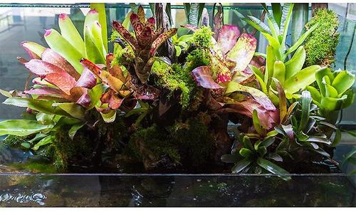 Show full view: AquaSprouts Horticultural LED Grow Light Bar, 2-ft slide 4 of 7