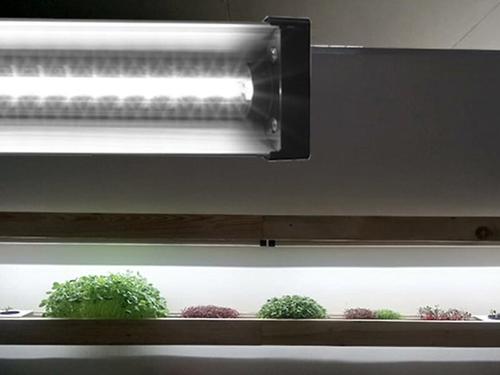 Show full view: AquaSprouts Horticultural LED Grow Light Bar, 2-ft slide 7 of 7