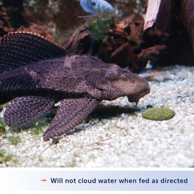 Show full view: Aqueon Algae Rounds Bottom Feeder Fish Food, 3-oz bag slide 3 of 7