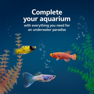 Aqueon Fish Aquarium Essentials Kit, 29-gal