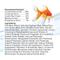 Show in main carousel: Aqueon Goldfish Granule Fish Food, 5.8-oz jar slide 9 of 12