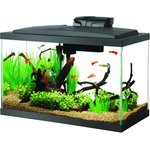 Best Saltwater Aquariums