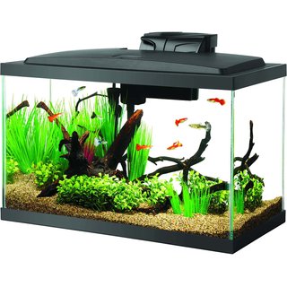 Aqueon LED Fish Aquarium Starter Kit, 10-gal slide 1 of 9