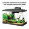 Show in main carousel: Aqueon LED Fish Aquarium Starter Kit, 10-gal slide 5 of 11