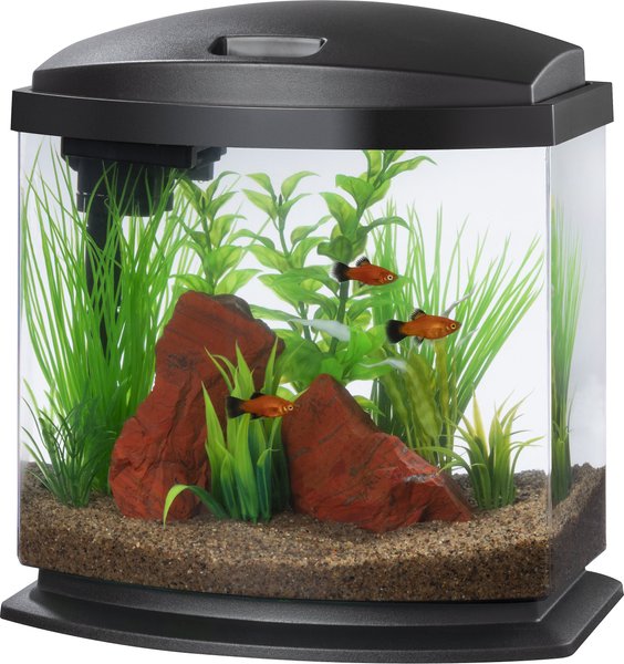 Aqueon LED MiniBow SmartClean Fish Aquarium Kit
