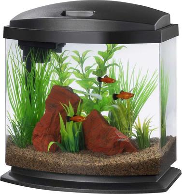 Show full view: Aqueon LED MiniBow SmartClean Fish Aquarium Kit, Black + Galapagos Aquarium Sea Glass slide 2 of 6