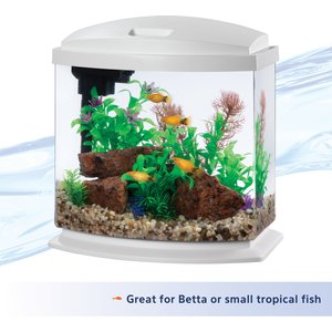 Aqueon LED MiniBow SmartClean Fish Aquarium Kit, White, 2.5-gal