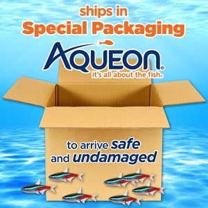 Aqueon LED MiniBow SmartClean Fish Aquarium Kit, White, 2.5-gal