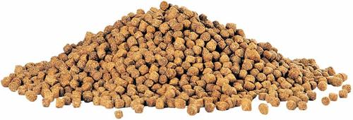 Show full view: Aqueon Cichlid Pellet Food, Medium, 4-oz jar slide 4 of 6