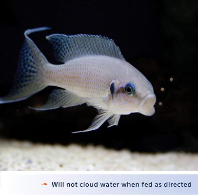 Show full view: Aqueon Mini Cichlid Pellet Fish Food, 4.5-oz jar slide 6 of 10