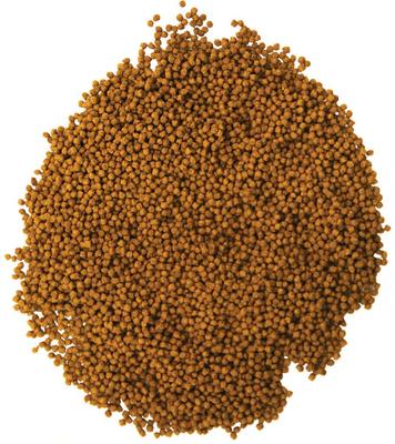Show full view: Aqueon Mini Cichlid Pellet Fish Food, 8.5-oz bag slide 7 of 10