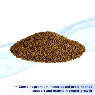 Show full view: Aqueon Nutrinsect Fish-Free Fish Food Betta Pellets, 1.41-oz slide 3 of 8