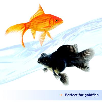 Show full view: Aqueon Nutrinsect Fish-Free Fish Food Goldfish Flakes, 1.59-oz slide 4 of 9