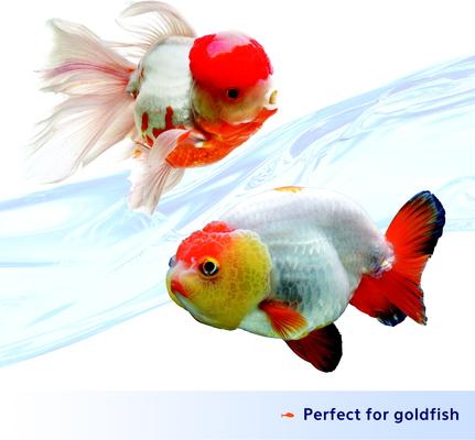 Show full view: Aqueon Nutrinsect Fish-Free Fish Food Goldfish Pellets, 1.76-oz slide 4 of 9