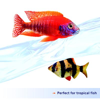 Show full view: Aqueon Nutrinsect Fish-Free Fish Food Tropical Pellets, 1.76-oz slide 4 of 9
