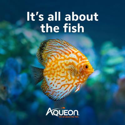 Show full view: Aqueon OptiBright SMART LED Light Fixture, Black, 48 to 54-in slide 7 of 12