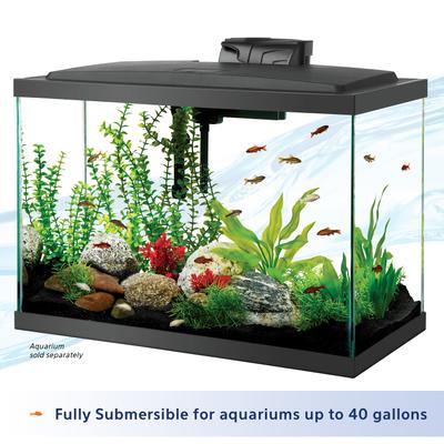 Show full view: Aqueon Preset Aquarium Heater, 100-watt slide 5 of 13