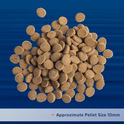 Show full view: Aqueon PRO Carnivore Formula Fish Food, 4.5-oz jar slide 4 of 9