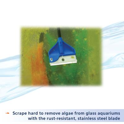 Show full view: Aqueon ProScraper 3.0 Twist & Click Stainless Steel Replacement Blades slide 5 of 7