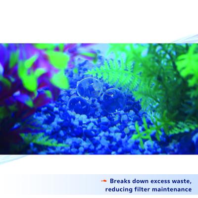 Show full view: Aqueon PURE Bacteria Supplement, 10-gal, 4 count slide 5 of 12